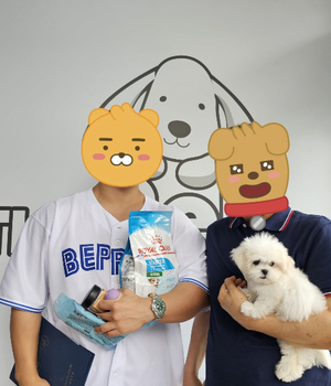 말티즈 분양후기/중리점 [23.07.22]