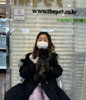 포메라니안 분양후기 [23.01.16]