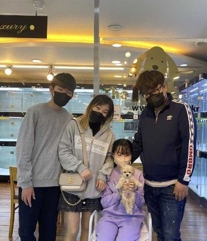 푸들 분양후기 [23.03.07]