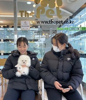 포메라니안 분양후기 [23.03.04]