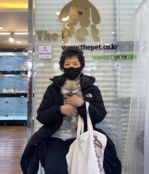포메라니안 분양후기 [23.01.16]