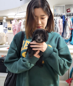 푸들 분양후기 [23.10.31]