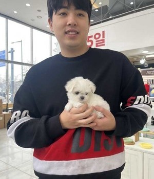 말티즈 분양후기 [24.1.10]