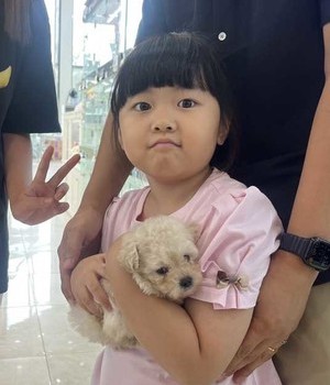 푸들 분양후기 [24.9.7]