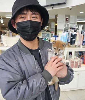 시바이누 분양후기 [24.3.24]