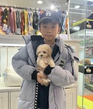 푸들 분양후기 [24.1.20]