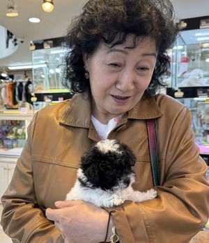 말티푸 분양후기 [24.10.19]