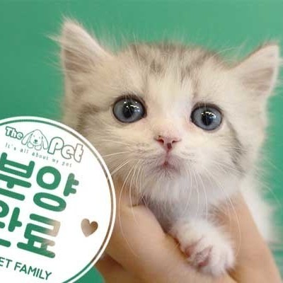 먼치킨 ♂ 09.25 분양완료