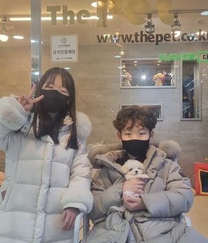 말티즈 분양후기 [24.2.2]