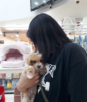 말티푸 분양후기 [24.6.20]