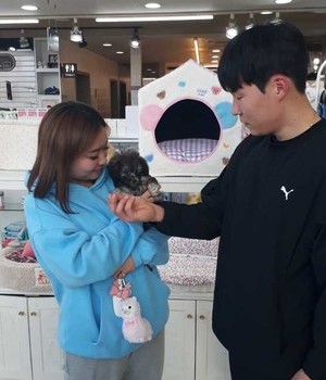푸들 분양후기 [24.3.23]