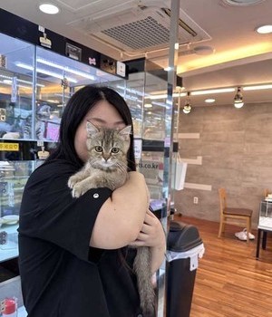 브리티쉬숏헤어 분양후기 [24.7.19]