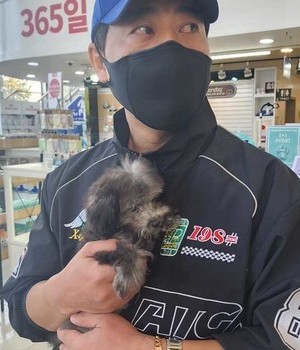 푸들 분양후기 [24.11.7]