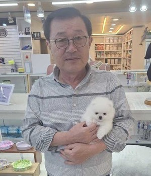 포메라니안 분양후기 [24.10.26]