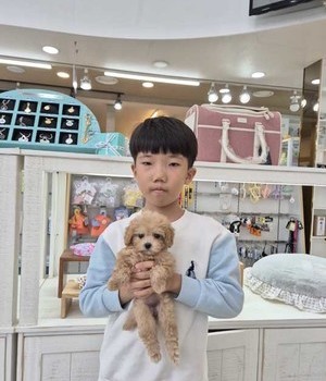 말티푸 분양후기 [24.10.19]