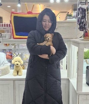 푸들 분양후기 [24.1.29]