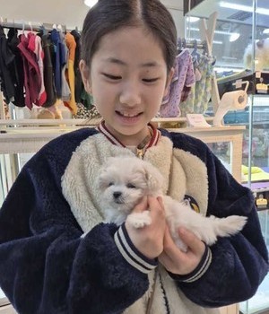 말티푸 분양후기 [24.12.8]