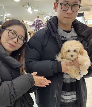 말티푸 분양후기 [24.3.2]