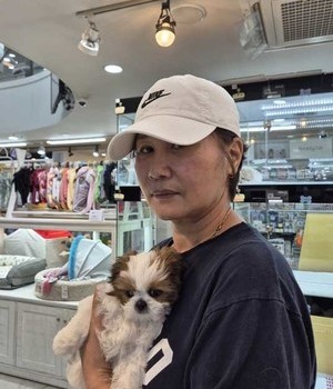 시츄 분양후기 [24.7.12]