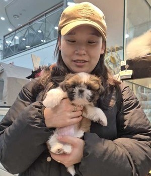 시츄 분양후기 [24.11.29]