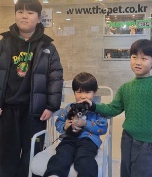 치와와 분양후기 [24.2.22]