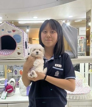 비숑프리제 분양후기 [24.4.9]