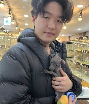 이탈리안그레이하운드 분양후기 [24.1.28]