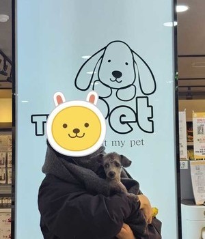 푸들 분양후기/중리점 [24.12.6]