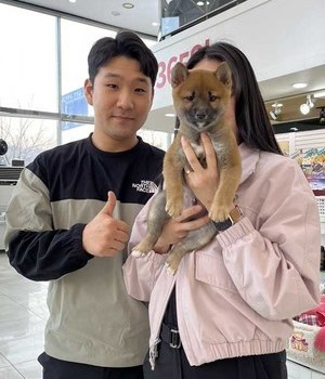 콩시바이누 분양후기 [24.1.27]