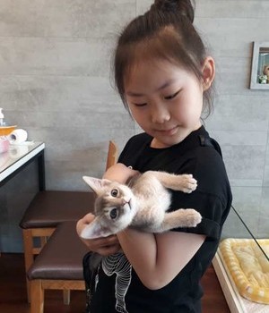 아비시니안 분양후기 [24.6.16]