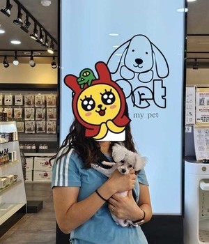 비숑프리제 분양후기/중리점 [24.7.21]