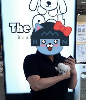 말티즈 분양후기/중리점 [24.7.11]