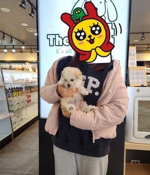 말티푸 분양후기/중리점 [24.2.16]