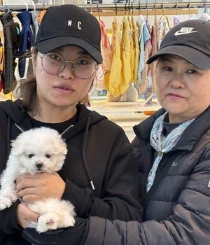비숑프리제 분양후기 [24.11.22]