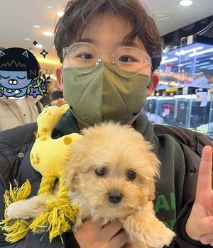 말티푸 분양후기 [24.12.8]