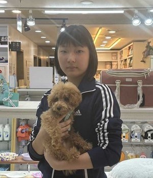 푸들 분양후기 [24.10.12]