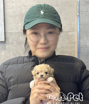 말티푸 분양후기(25.11.19)