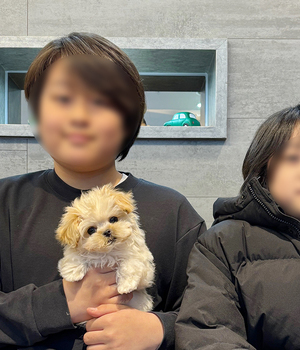 말티푸 분양후기(25.11.18)