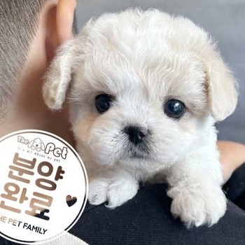 푸숑 ♀ 7.24