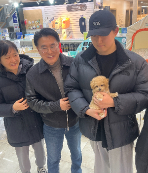 푸들 분양후기 [25.3.8]