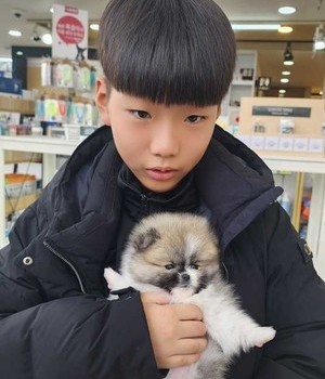 포메라니안 분양후기 [25.2.16]