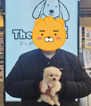 비숑프리제 분양후기/중리점 [25.1.19]