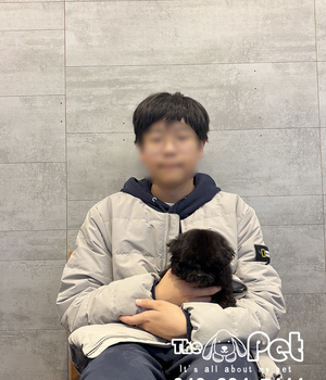 실버푸들 분양후기(25.11.29)