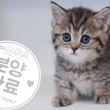 먼치킨 공주님 10.4