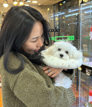 비숑프리제 분양후기 [24.12.31]