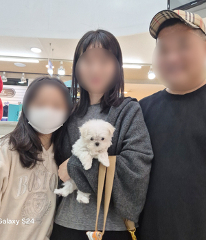 말티즈 분양후기 [25.1.19]