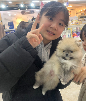 포메라니안 분양후기 [25.1.22]