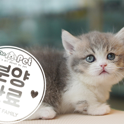 먼치킨 공주님 2.10