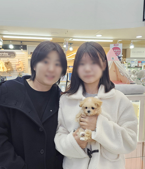 말티푸 분양후기(26.01.01)