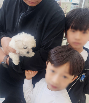 비숑 분양후기(26.04.05)